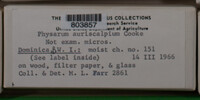 Image Associated With the Occurence